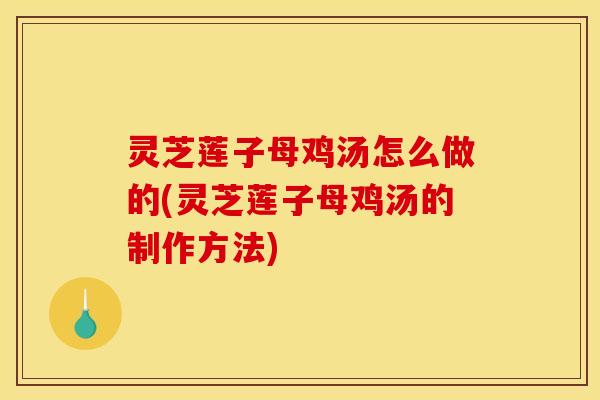 灵芝莲子母鸡汤怎么做的(灵芝莲子母鸡汤的制作方法)