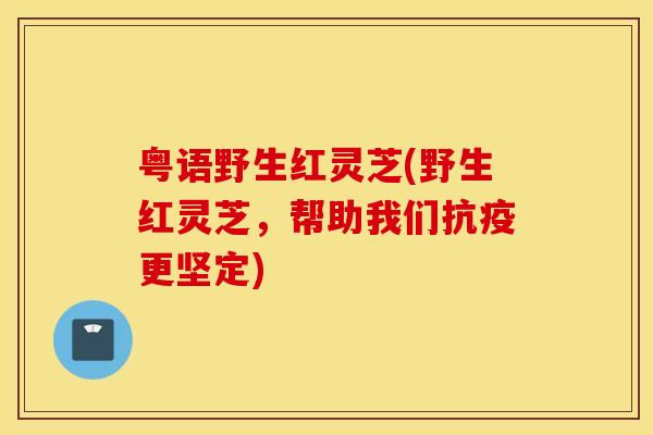 粤语野生红灵芝(野生红灵芝，帮助我们抗疫更坚定)