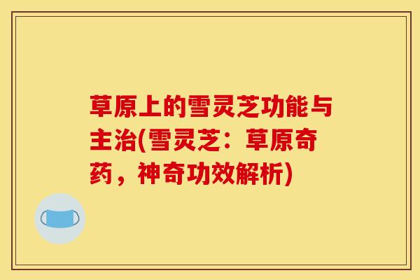 草原上的雪灵芝功能与主治(雪灵芝：草原奇药，神奇功效解析)