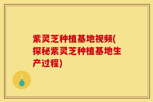 紫灵芝种植基地视频(探秘紫灵芝种植基地生产过程)