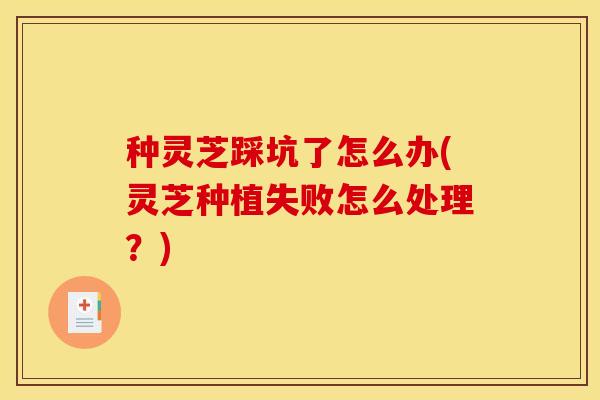 种灵芝踩坑了怎么办(灵芝种植失败怎么处理？)