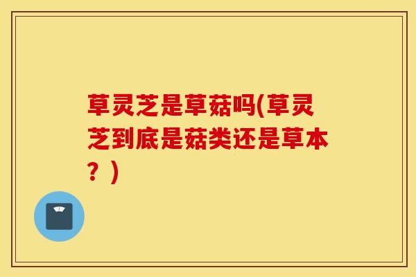 草灵芝是草菇吗(草灵芝到底是菇类还是草本？)