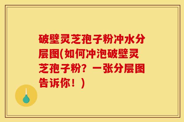 破壁灵芝孢子粉冲水分层图(如何冲泡破壁灵芝孢子粉？一张分层图告诉你！)