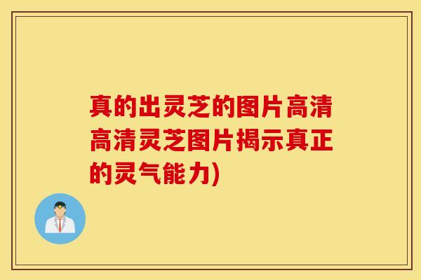 真的出灵芝的图片高清高清灵芝图片揭示真正的灵气能力)