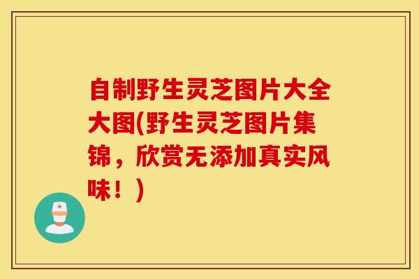 自制野生灵芝图片大全大图(野生灵芝图片集锦，欣赏无添加真实风味！)