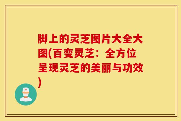 脚上的灵芝图片大全大图(百变灵芝：全方位呈现灵芝的美丽与功效)