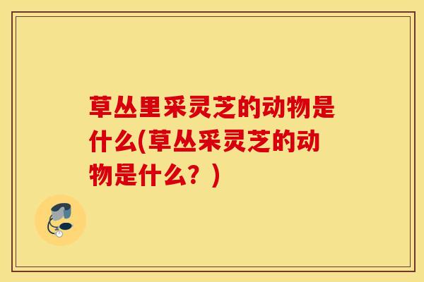 草丛里采灵芝的动物是什么(草丛采灵芝的动物是什么？)