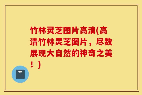 竹林灵芝图片高清(高清竹林灵芝图片，尽数展现大自然的神奇之美！)