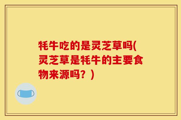 牦牛吃的是灵芝草吗(灵芝草是牦牛的主要食物来源吗？)