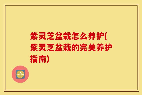 紫灵芝盆栽怎么养护(紫灵芝盆栽的完美养护指南)