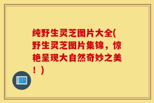纯野生灵芝图片大全(野生灵芝图片集锦，惊艳呈现大自然奇妙之美！)
