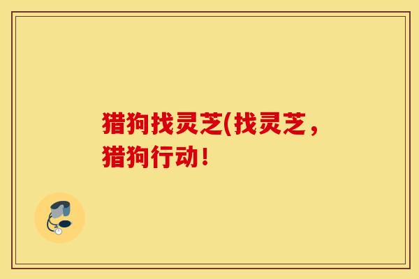 猎狗找灵芝(找灵芝，猎狗行动！