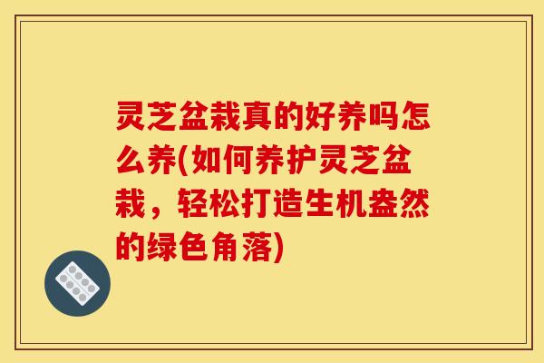 灵芝盆栽真的好养吗怎么养(如何养护灵芝盆栽，轻松打造生机盎然的绿色角落)