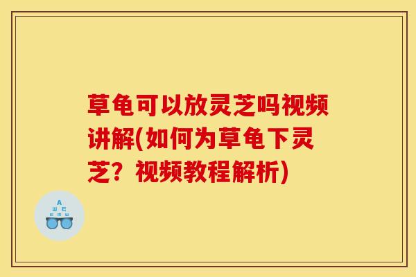 草龟可以放灵芝吗视频讲解(如何为草龟下灵芝？视频教程解析)