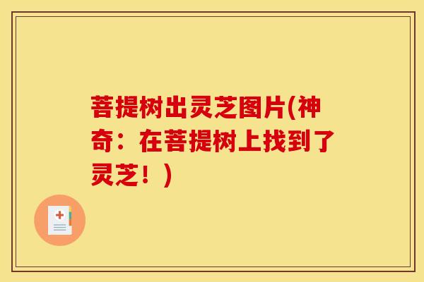 菩提树出灵芝图片(神奇：在菩提树上找到了灵芝！)