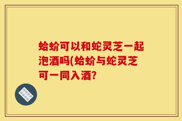 蛤蚧可以和蛇灵芝一起泡酒吗(蛤蚧与蛇灵芝可一同入酒？