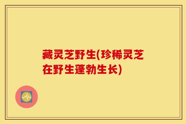 藏灵芝野生(珍稀灵芝在野生蓬勃生长)