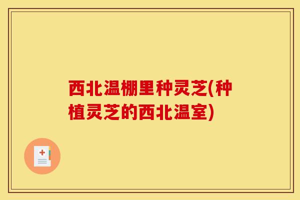 西北温棚里种灵芝(种植灵芝的西北温室)