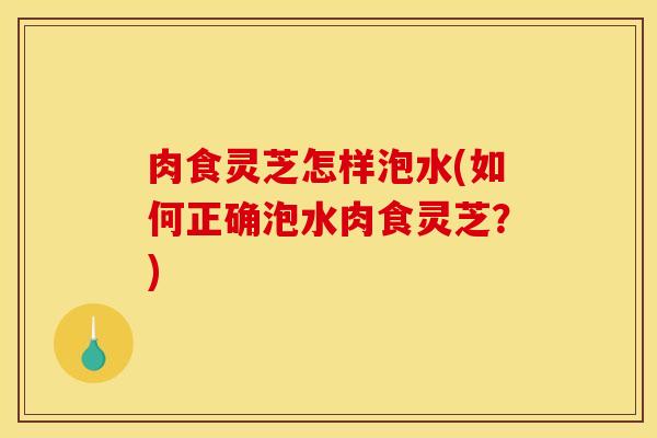 肉食灵芝怎样泡水(如何正确泡水肉食灵芝？)