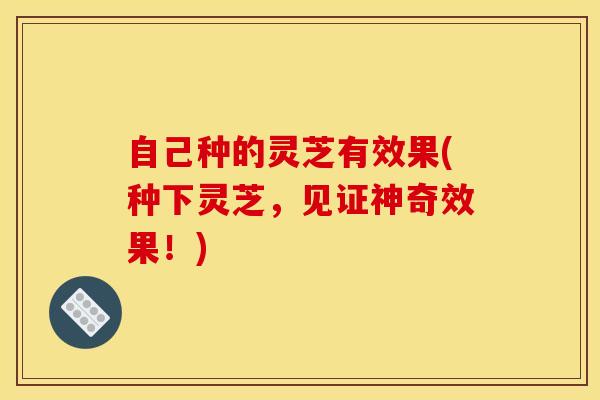 自己种的灵芝有效果(种下灵芝，见证神奇效果！)