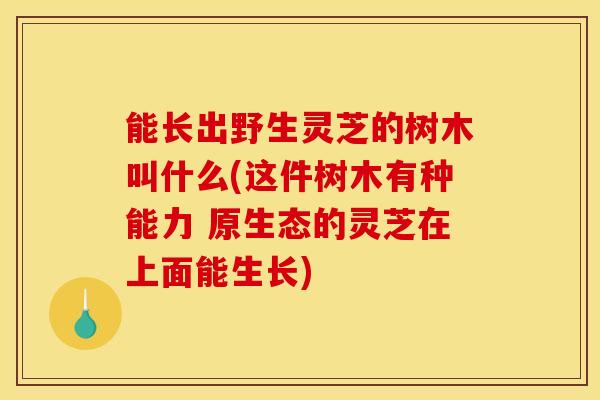 能长出野生灵芝的树木叫什么(这件树木有种能力 原生态的灵芝在上面能生长)