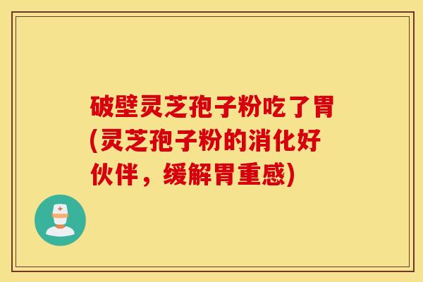 破壁灵芝孢子粉吃了胃(灵芝孢子粉的消化好伙伴，缓解胃重感)