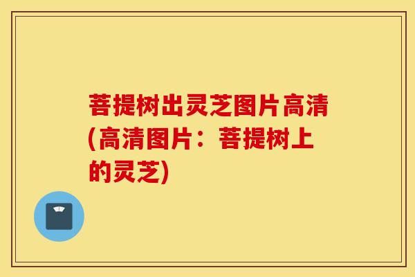 菩提树出灵芝图片高清(高清图片：菩提树上的灵芝)