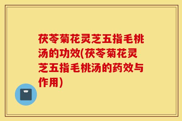 茯苓菊花灵芝五指毛桃汤的功效(茯苓菊花灵芝五指毛桃汤的药效与作用)