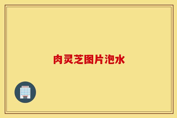 肉灵芝图片泡水