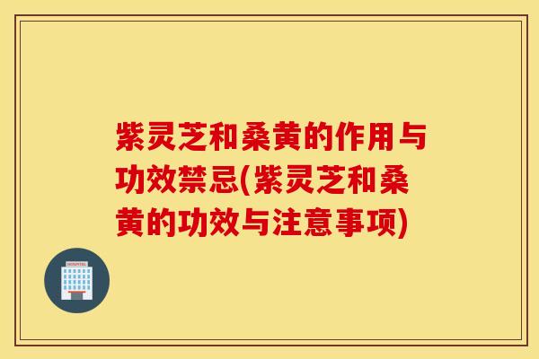 紫灵芝和桑黄的作用与功效禁忌(紫灵芝和桑黄的功效与注意事项)