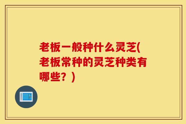 老板一般种什么灵芝(老板常种的灵芝种类有哪些？)