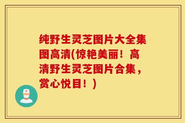 纯野生灵芝图片大全集图高清(惊艳美丽！高清野生灵芝图片合集，赏心悦目！)