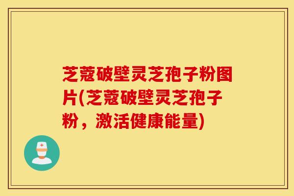 芝蔻破壁灵芝孢子粉图片(芝蔻破壁灵芝孢子粉，激活健康能量)