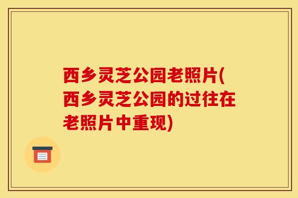 西乡灵芝公园老照片(西乡灵芝公园的过往在老照片中重现)