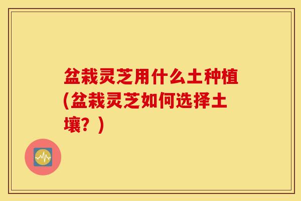 盆栽灵芝用什么土种植(盆栽灵芝如何选择土壤？)