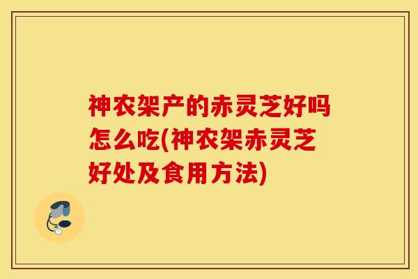 神农架产的赤灵芝好吗怎么吃(神农架赤灵芝好处及食用方法)