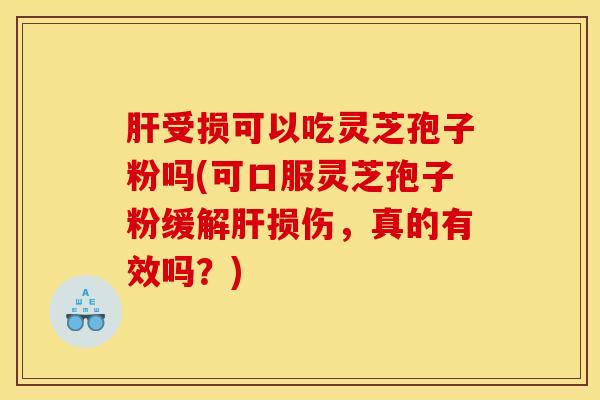 肝受损可以吃灵芝孢子粉吗(可口服灵芝孢子粉缓解肝损伤，真的有效吗？)