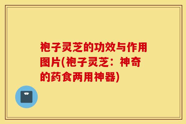 袍子灵芝的功效与作用图片(袍子灵芝：神奇的药食两用神器)