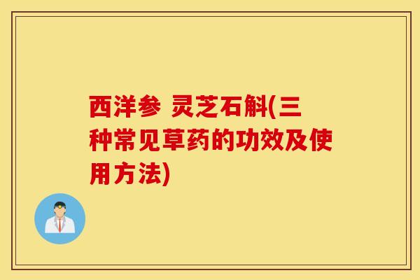 西洋参 灵芝石斛(三种常见草药的功效及使用方法)