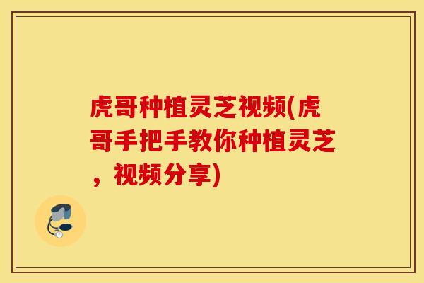 虎哥种植灵芝视频(虎哥手把手教你种植灵芝，视频分享)