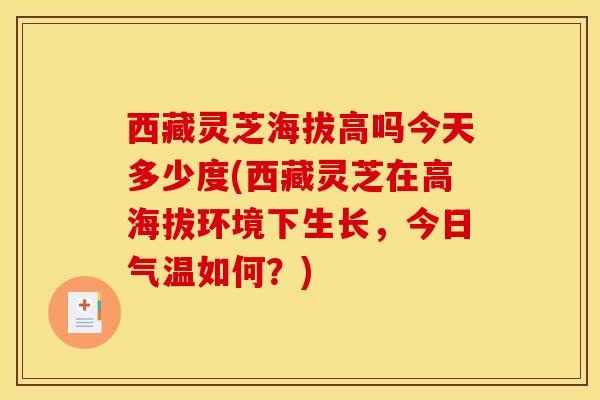 西藏灵芝海拔高吗今天多少度(西藏灵芝在高海拔环境下生长，今日气温如何？)