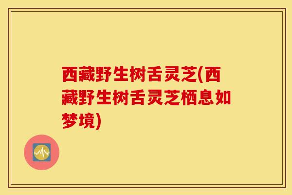 西藏野生树舌灵芝(西藏野生树舌灵芝栖息如梦境)