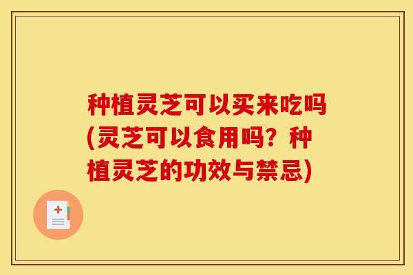 种植灵芝可以买来吃吗(灵芝可以食用吗？种植灵芝的功效与禁忌)
