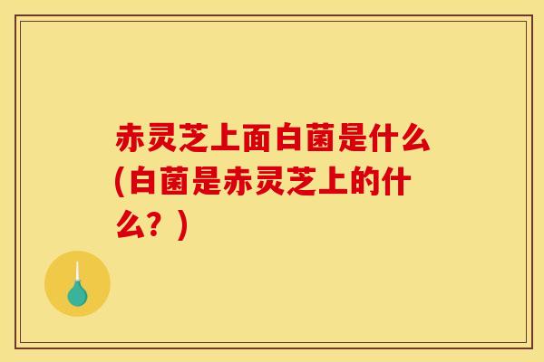 赤灵芝上面白菌是什么(白菌是赤灵芝上的什么？)