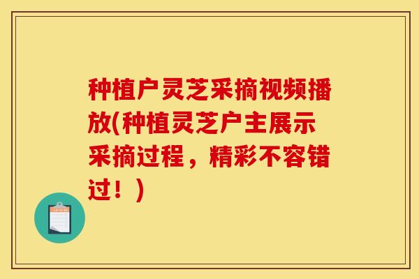 种植户灵芝采摘视频播放(种植灵芝户主展示采摘过程，精彩不容错过！)