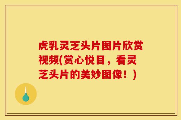 虎乳灵芝头片图片欣赏视频(赏心悦目，看灵芝头片的美妙图像！)