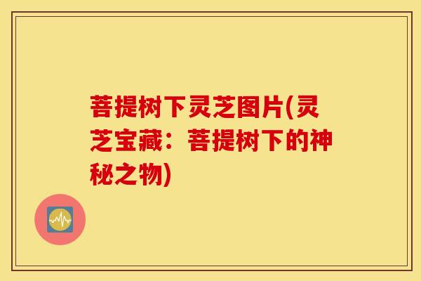 菩提树下灵芝图片(灵芝宝藏：菩提树下的神秘之物)