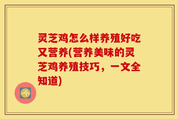 灵芝鸡怎么样养殖好吃又营养(营养美味的灵芝鸡养殖技巧，一文全知道)
