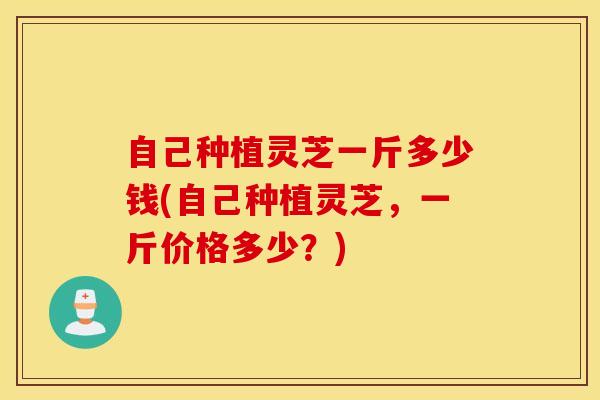 自己种植灵芝一斤多少钱(自己种植灵芝，一斤价格多少？)