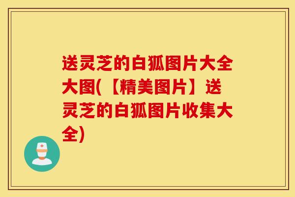 送灵芝的白狐图片大全大图(【精美图片】送灵芝的白狐图片收集大全)